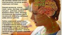 Оздоровительно-консультативная система восстановительной IT-медицины