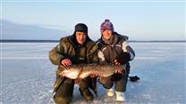 Продажа базы отдыха на Рыбинском водохранилище
