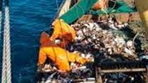 Продается рыбодобывающее предпритятие