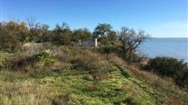 Участок 387 соток на берегу моря в Крыму