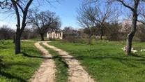 Участок 387 соток на берегу моря в Крыму