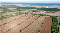 Предприятие 1800 га с орошением, электричеством и газом