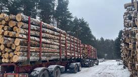 Лесозаготовка и Молочная ферма - окупаемость 3 года.