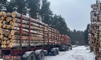 Лесозаготовка и Молочная ферма - окупаемость 3 года.