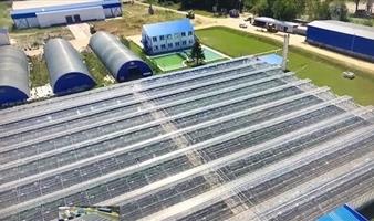 Теплицы зимние продажа, 25500 м²